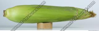 Corn 0005